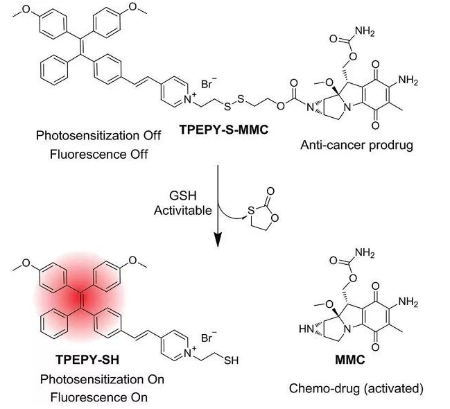 TPEPY-S-MMC的化學(xué)結(jié)構(gòu)，以及藥物和光動(dòng)力學(xué)機(jī)理