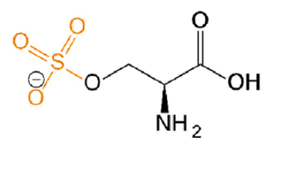 磺酸化絲氨酸，O-Sulfo-L-serine，Ser(SO3H2)