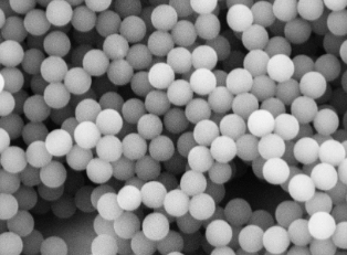 PEG化Fe3O4顆粒;PEG@USPIO；10nm