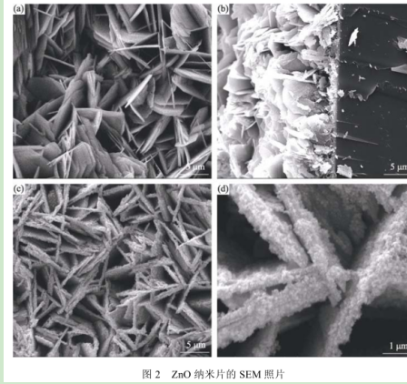 硫化鉛量子點修飾氧化鋅納米片(ZnO/PbSQDs)