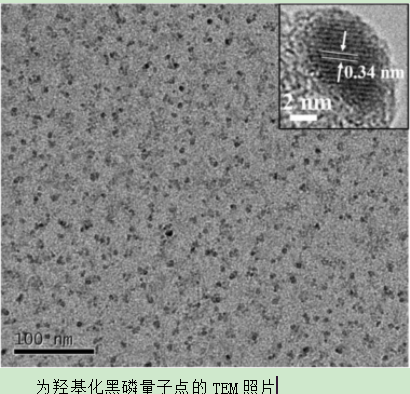 羥基化黑磷量子點(diǎn)(BPQDs)
