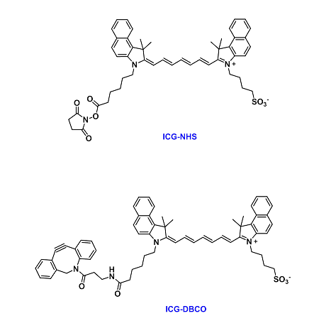 ICG-COOH、Sulfo-ICG-COOH、ICG-NHS