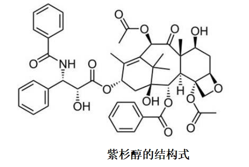紫杉醇的結(jié)構(gòu)式