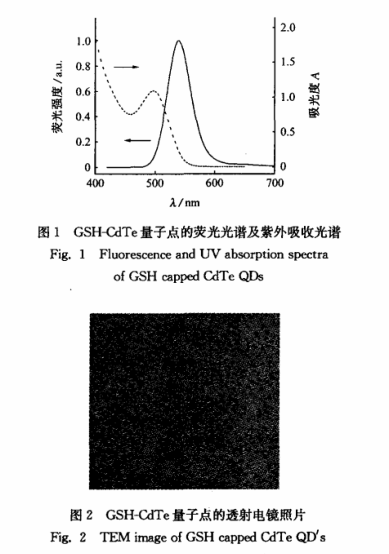 GSH/CdTeQDs