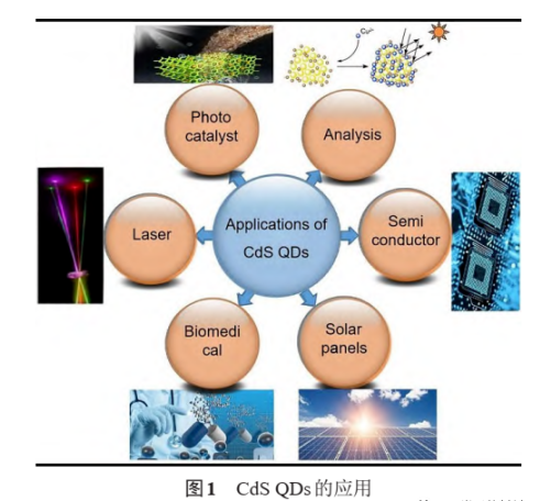硫化鎘量子點(diǎn)修飾AIE熒光探針分子