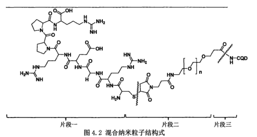 Mal-PEG-NHS偶聯(lián)碳量子點(diǎn)CQDs