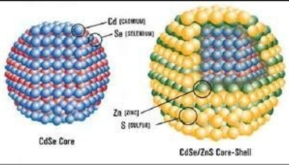 PEG-COOH修飾油溶性CdSe/ZnS量子點(diǎn)