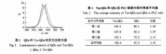 CdTe量子點共價偶聯(lián)多肽Tat