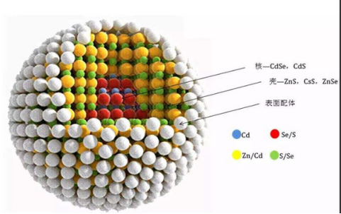 細(xì)胞核靶向TAT多肽修飾碳化釩(V2C)量子點(diǎn)(QDs)