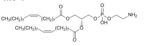 麥芽糖-二油?;字R掖及? alt=