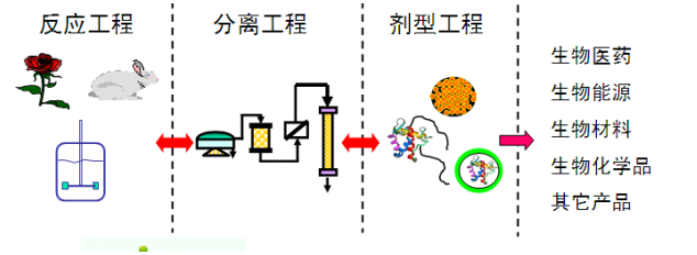 PEG修飾