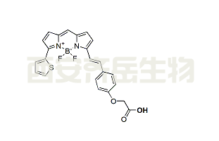 CAS: 2183512-02-7，BDP 630/650 carboxylic acid