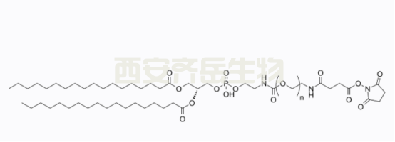 PEG磷脂大家族成員之二：DPSE-PEG-NHS