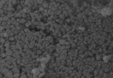 Gold Nanorods，長(zhǎng)徑比為5（濃度0.5mg/ml）